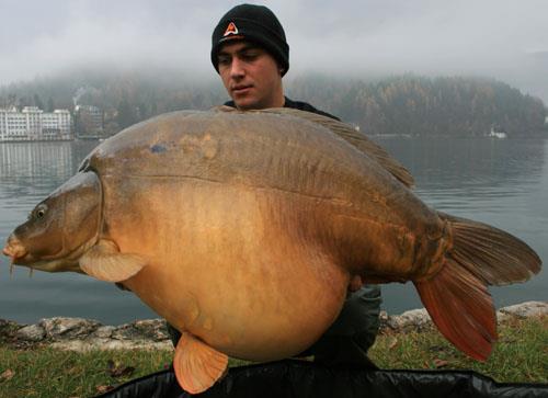 Continuare  - slika2.jpg